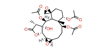 Junceellolide J